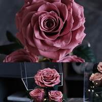 Nouveau Style LED Lumière Rose Jardin Roses Préservées dans une boîte en acrylique pour la décoration intérieure Cadeaux pour la fête des mères Saint Valentin Noël