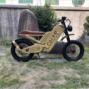 <span class=keywords><strong>2022</strong></span> Lohas conception de qualité supérieure vélo hybride électrique 2000W Mid Drive haute puissance avec batterie de marque Mid Drive Motor Cycle - Product Image 3
