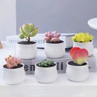 Vente en gros de petits pots de fleurs en céramique blanche émaillée, support en bambou pour plantes succulentes perforées