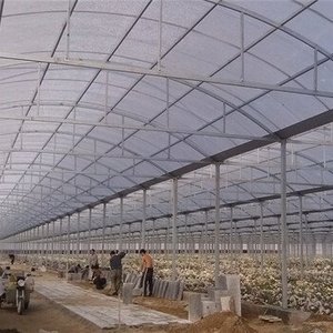 Serre agricole multi-spans de grande taille pour tomates, avec couverture en polycarbonate et structure métallique, <span class=keywords><strong>prix</strong></span> compétitif, horticulture YPWS YPLK-18 - Product Image 2