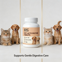 Comprimés enzymatiques d'acides lactiques SYC pour animaux de compagnie, 40g, soutien digestif intestinal avec vitamine B et levure pour chats et chiens, vente en gros, OEM