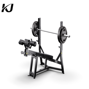 <span class=keywords><strong>Banc</strong></span> de musculation inclinable en acier robuste pour usage commercial |   Entraînement axé sur la sécurité pour la partie inférieure du torse et le renforcement du tronc, idéal pour la salle de sport - Product Image 1