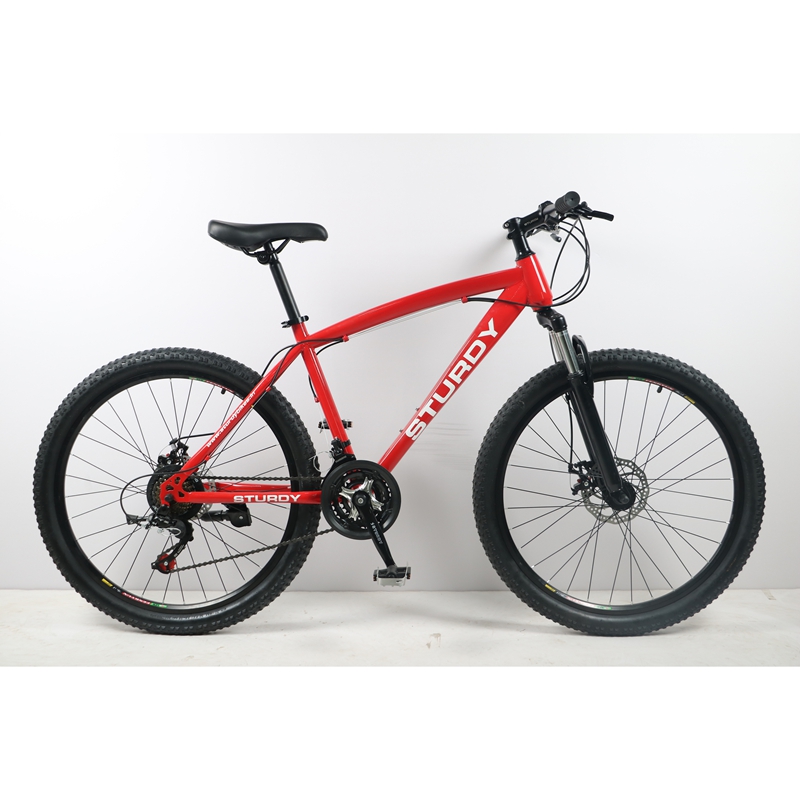 Catálogo de fabricantes de bicicleta de moda completamente nueva