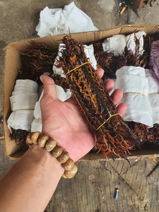 Wu Gong Subspinipes <span class=keywords><strong>SCOLOPENDRA</strong></span> แห้งทั้งหมด,ขนาด14ซม. - Product Image 3