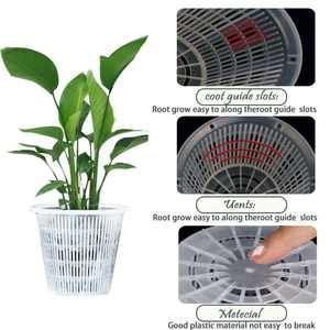 Pot à mailles <span class=keywords><strong>en</strong></span> <span class=keywords><strong>plastique</strong></span> PS <span class=keywords><strong>pour</strong></span> serre <span class=keywords><strong>pour</strong></span> légumes et graines Système hydroponique Net Cup Pépinière Plateau <span class=keywords><strong>pour</strong></span> jardin et application de semis - Product Image 2