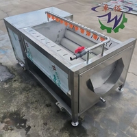 Laveuse industrielle à rouleaux pour fruits et légumes – Machine de lavage et de nettoyage efficace pour pommes de terre, taro, carottes, radis, gingembre