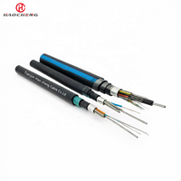 Câble à fibre optique GYTA53 résistant aux rats et étanche, pour extérieur, enterré, 24/48/96 cœurs, gaine PE, monomode G652D, double