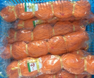 Prezzo di fabbrica a buon mercato rete da pesca/borsa <span class=keywords><strong>seine</strong></span> vendita/mono reti di multifilamento cimosa - Product Image 1