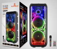 Enceinte portable Bluetooth 20W avec LED RGB, boombox, micro sans fil, télécommande et fonction TWS pour karaoké extérieur et soirées à domicile