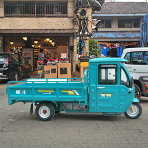 Wanfeng WF1500DZH tricicli elettrici adulti 70-90KM gamma chiusa a 3 ruote camion Cargo bici cabina 800kg + carico utile 30-50 Km/h - Product Image 5
