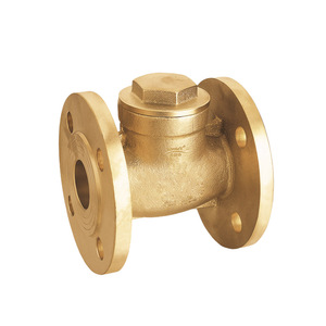 Guangdong Magnesium Special Brass Flange Check Valve 409 Lift Type For Water Flow Control Straight Through Design - Product Image 4