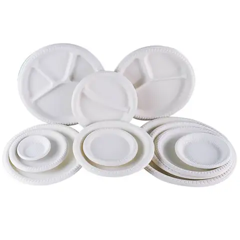 Square Disposable Plates White Plastic Sugar Cane Pulp