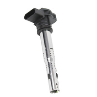 Automotive Engine Parts Ignition Coils for Audi 07K905715E