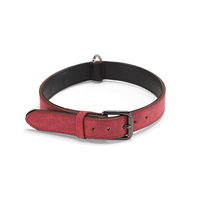 Collier de luxe en métal et cuir pour chien Aston Group avec photo et lettre personnalisées pour petits et grands chiens Accessoires pour animaux de compagnie