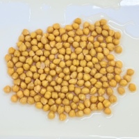 Pois chiches en conserve de haute qualité, haricots garbanzo, conservés dans de la saumure, légèrement salés, prêts à consommer, durée de conservation de 3 ans, 425g/800g/2840g