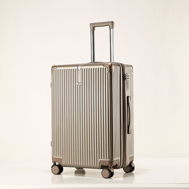 OEM Factory High Quality 20-Inch Aluminum Travel Luggage Troelly 360 Spinner Wheel TSA Lock Doubler Zipper ABS+PC Carry-On