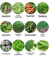 Semoir de jardin de haute qualité et précis 1-6 rangées semoir de légumes à poussée manuelle pour carotte chou oignon vert-multi-usage