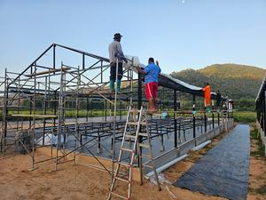 Large Multi-Span Agricultural Greenhouses Low <strong>Cost</strong> <strong>Poly</strong> <strong>Tunnel</strong> for Cucumber Vegetables &amp; Tomato Growth PC Sheet Cover - Product Image 6