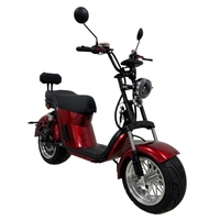 Scooter Eléctrico de Dos Ruedas sin Escobillas de 2000 W, 10 Pulgadas, Batería de Litio de 20 Ah/40 Ah, Plegable, Impermeable, para Uso Urbano para Adultos