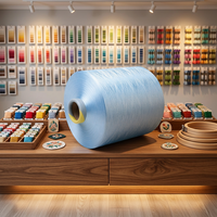 Filament de polyester texturé haute ténacité WELONG 100 %, 150/48 DTY S/Z Twist, respectueux de l'environnement, teint en masse, pour couture et broderie