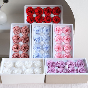 TC Wholesale Teste di Rose Real Touch 4-5cm Grado B, Rose Stabilizzate di Lusso, Materiale Fai da Te, Fiore Eterno, Regalo <span class=keywords><strong>per</strong></span> <span class=keywords><strong>San</strong></span> <span class=keywords><strong>Valentino</strong></span> - Product Image 1