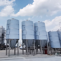 Cuve de Fermentation en acier inoxydable 100HL 200HL litres, Fermentation de bière à enveloppe conique à vendre