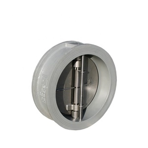 Disco de elevación basculante de doble placa con resorte ANSI americano, tipo acero inoxidable, sin retorno - Product Image 2