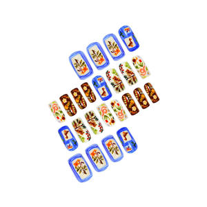 24 pezzi di pittura a olio del mondo animale europeo unghie indossabili vendita calda ispirata unghie artificiali piccolo disegno corto - Product Image 3