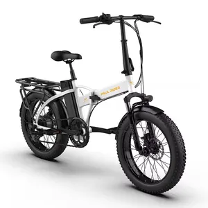 폴 라이더 48V 500W 750W 10AH 15AH 하이브리드 자전거 ebike 전기 접이식 지방 타이어 e 자전거