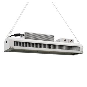 Luces LED de Cultivo de Espectro Completo Innovadoras para Agricultura, 320W, Uniformes, para Invernaderos y Floricultura - Product Image 6