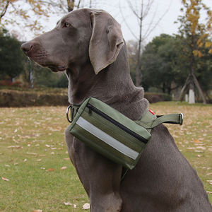 حقيبة تكتيكية متعددة الوظائف لحمل طعام الكلاب أثناء المشي - Product Image 6