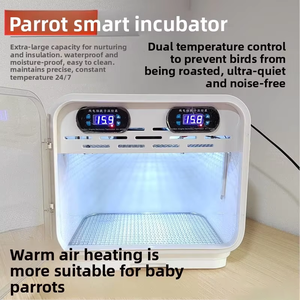 Caja Incubadora Inteligente con Termostato Dual para Cría de Loros, Temperatura Constante con Aire Caliente - Product Image 5