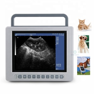 Échographe vétérinaire <span class=keywords><strong>portable</strong></span> sans fil B21Vet Farmscan pour mesurer les follicules - Product Image 2