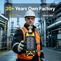 Détecteur de gaz combustible portable Eranntex avec certification CE/ATEX, testeur de fuite de gaz inflammable portatif pour la sécurité industrielle