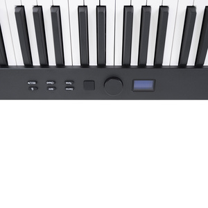 Giá bán buôn thấp nhất gấp xách tay Đàn piano điện tử 88 phím Bàn phím - Product Image 5