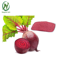 Bubuk Bit Merah Alami Berkualitas Tinggi Grosir Newgreen