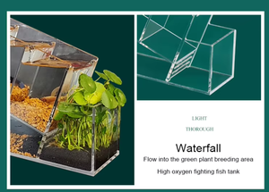 <span class=keywords><strong>ปลา</strong></span>กัดขนาดเล็กหลายกริดสำหรับตู้<span class=keywords><strong>ปลา</strong></span>การแยกการไหลเวียนการหมุนเวียนการแยกการเพาะ<span class=keywords><strong>เลี้ยง</strong></span><span class=keywords><strong>ปลา</strong></span>อะคริลิคตกแต่งภูมิทัศน์ - Product Image 4