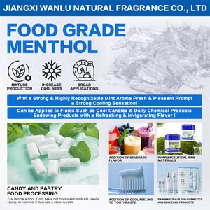 <span class=keywords><strong>Cristal</strong></span> de <span class=keywords><strong>menthol</strong></span> synthétique L-<span class=keywords><strong>Menthol</strong></span>, parfum de menthe, CAS 89-78-1, pour les arômes industriels du tabac, arômes alimentaires - Product Image 4