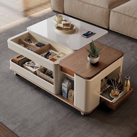 Table basse de luxe moderne avec rangement amovible et plateau en pierre frittée, design durable pour petit salon