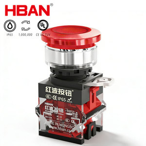 Botón de Encendido HBAN con Cabeza de Hongo de 30 mm, 1NO1NC, Latón Cromado, Interruptor a Prueba de Polvo - Product Image 1
