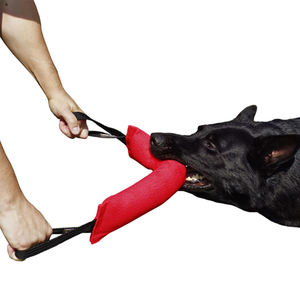 Aangepaste Milieuvriendelijke Behendigheids Kauwsticks Hond Tranen-En-Ruk Trainingshulpmiddelen Voor Nauwkeurige Duurtraining Zachte Tanden Buiten - Product Image 2