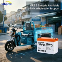 Neue LiFePO4-Technologie 12V200AH Elektro-Dreirad-Batterie Vibrationsfest Plug-and-Play für Behindertenroller CE FCC UN38.3