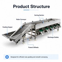 Hoog-efficiënte sorteermachine voor kiwi's, aardappelen, courgettes, tomaten, komkommers, uien, noten, fruit en groenten.