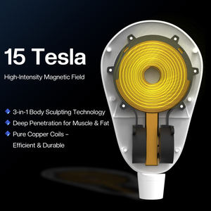 Máquina Muscular RenaSculpt EMS de 5000W y 15 Tesla para Gimnasio en Casa, Quema de Grasa, Desarrollo Muscular, Resultados Profesionales - Product Image 2