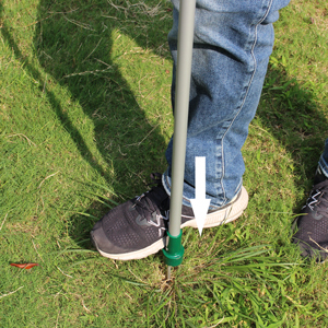 Acquista Wish garden diserbo stand up estrattore di erbacce trapano manico lungo rimozione di erbacce da <span class=keywords><strong>prato</strong></span> con artiglio in acciaio inossidabile - Product Image 4