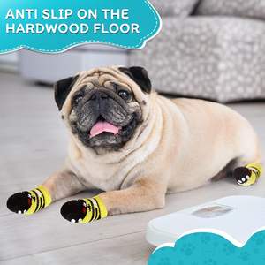 Accessoires de vêtements <span class=keywords><strong>pour</strong></span> animaux de compagnie en silicone anti-dérapant de luxe randonnée <span class=keywords><strong>chien</strong></span> couvre-pieds chaussettes <span class=keywords><strong>pour</strong></span> animaux de compagnie <span class=keywords><strong>pour</strong></span> une utilisation intérieure et extérieure en cuir Latex - Product Image 6