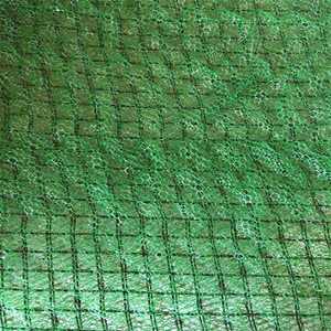 Geonet ฝาครอบป้องกัน3D <span class=keywords><strong>พืช</strong></span>สำหรับการป้องกันความลาดชัน - Product Image 4