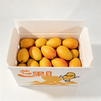 Boîte creuse en PP de 3 mm d'épaisseur, résistante aux chocs, écologique, imperméable, avec logo personnalisé, de qualité alimentaire, pour l'exportation de mangues