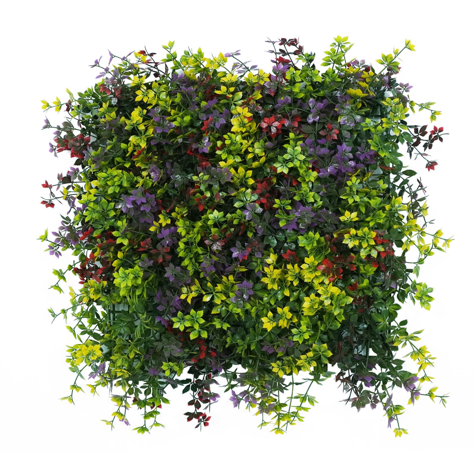 ใบเมเปิ้ลหลากสีสัน