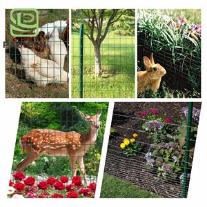 Hardware Doek 1/2 Inch 16Gauge Gegalvaniseerd Na Gelast Kooi Gaas Rol Vierkant Kippengaas Konijnenhek - Product Image 4